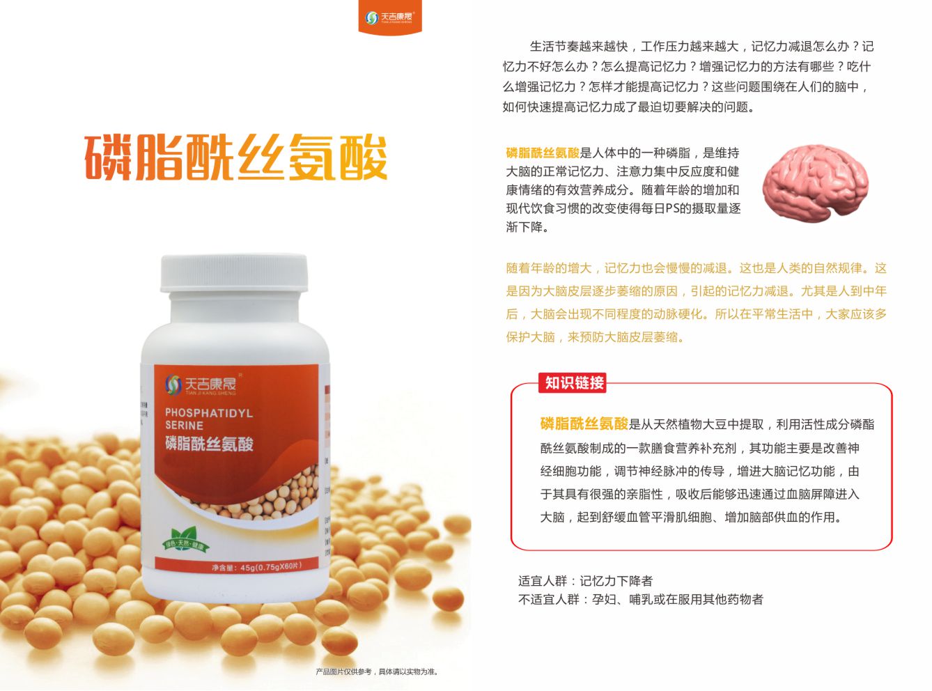 ������˿����